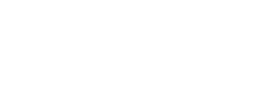 logo de website