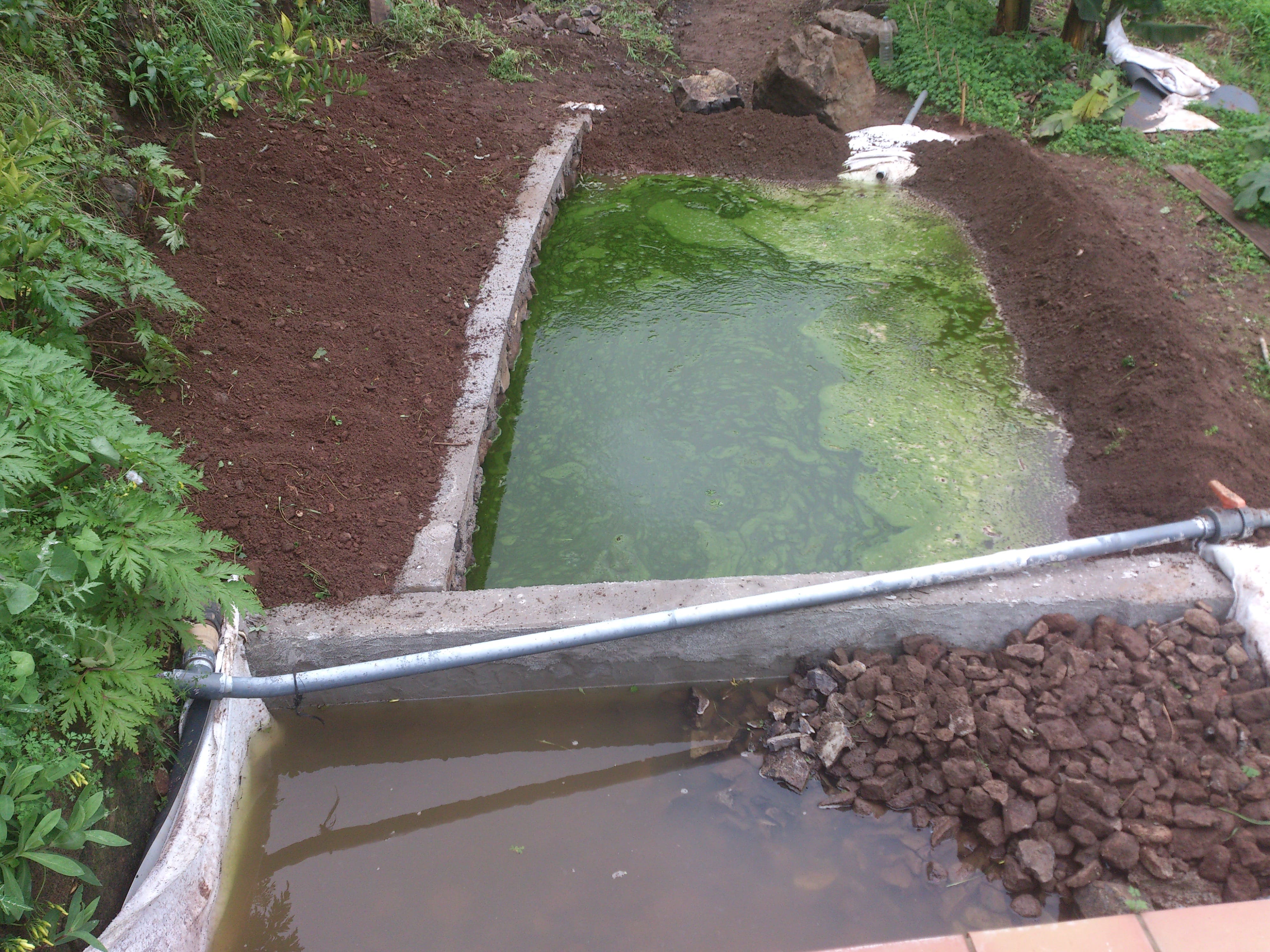 galeria EJECUCIÓN DE PEQUEÑA DEPURADORA NATURAL PARA UNA VIVIENDA DE 5 HABITANTES EQUIVALENTES